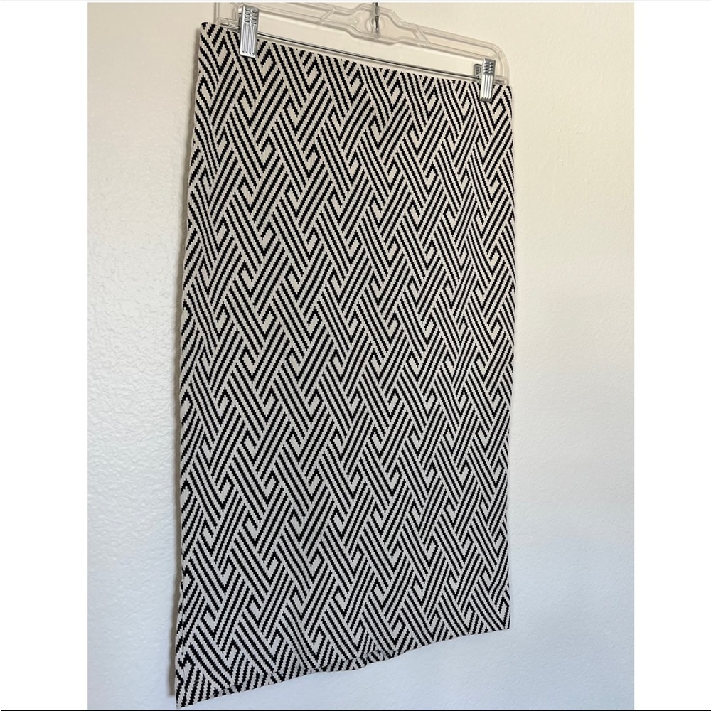 Zara Pencil Skirt